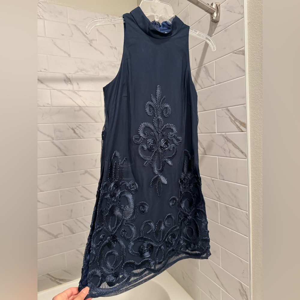 Twiggy mesh dress